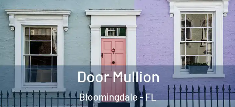  Door Mullion Bloomingdale - FL