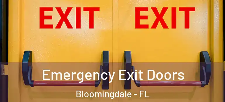  Emergency Exit Doors Bloomingdale - FL
