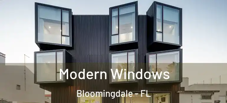  Modern Windows Bloomingdale - FL
