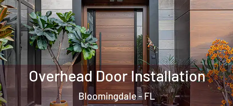  Overhead Door Installation Bloomingdale - FL