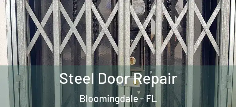  Steel Door Repair Bloomingdale - FL