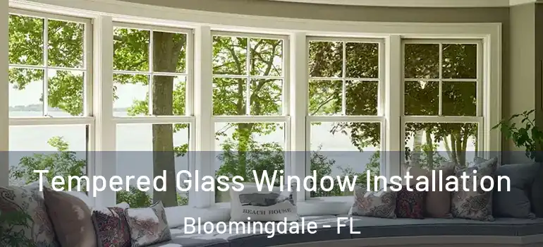  Tempered Glass Window Installation Bloomingdale - FL